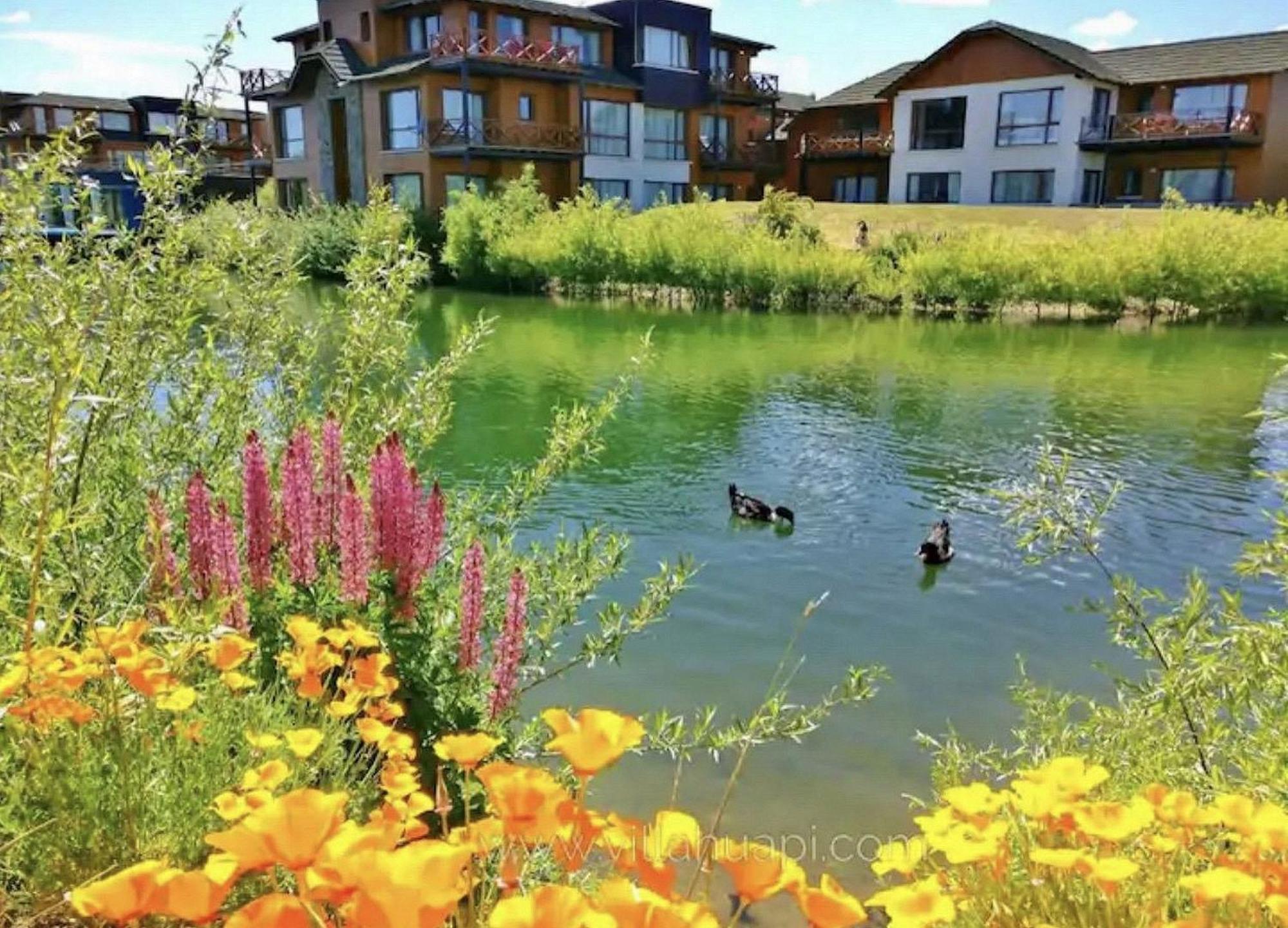 Blue Aparts Dina Huapi Bariloche ภายนอก รูปภาพ